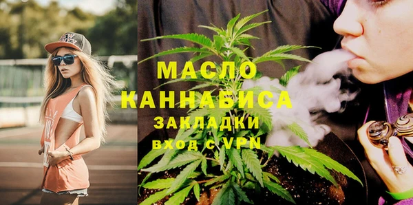 хмурый Аркадак