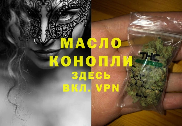 хмурый Аркадак