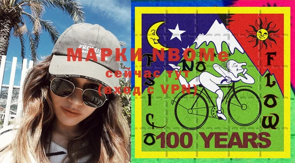 хмурый Аркадак