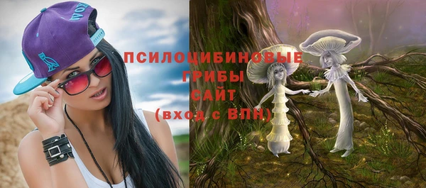 хмурый Аркадак